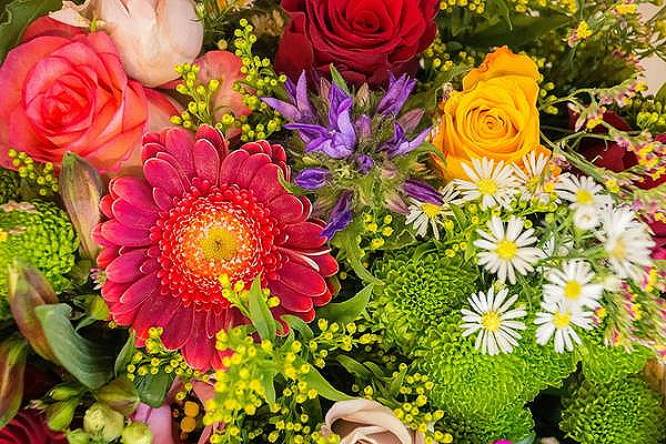 gc924.fleurs.png